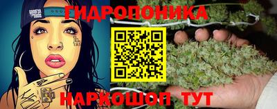 2c-b Новозыбков