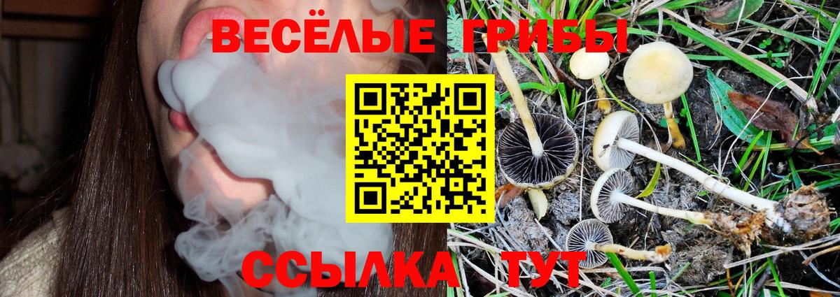 Псилоцибиновые грибы прущие грибы  Вход с VPN  купить наркотики цена  Сланцы 